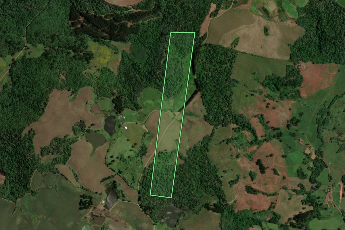 Imagem de satélite do imóvel rural em Irani (SC), com o contorno declarado no CAR desenhado por cima.