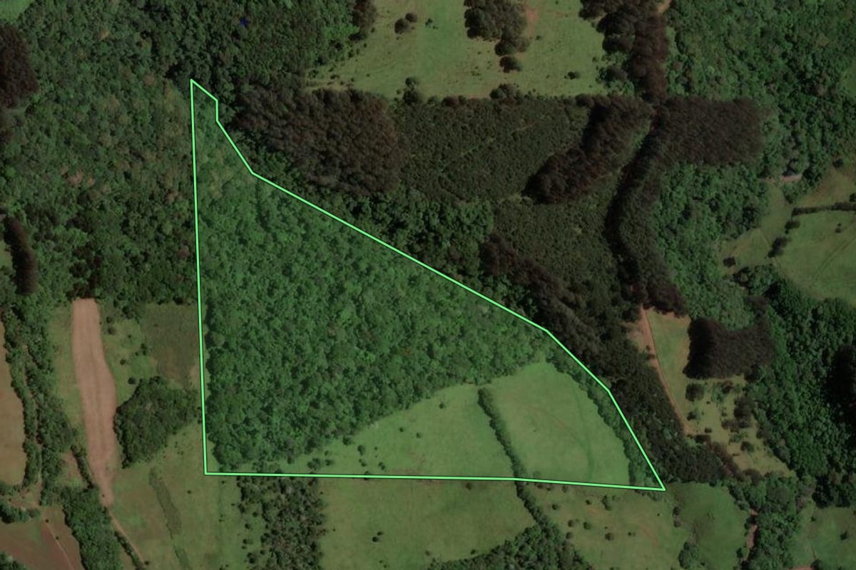 Imagem de satélite do imóvel rural em Irani (SC), com o contorno declarado no CAR desenhado por cima.