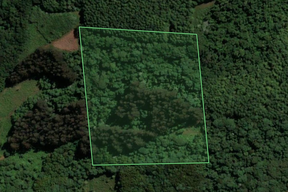 Imagem de satélite do imóvel rural em Irani (SC), com o contorno declarado no CAR desenhado por cima.