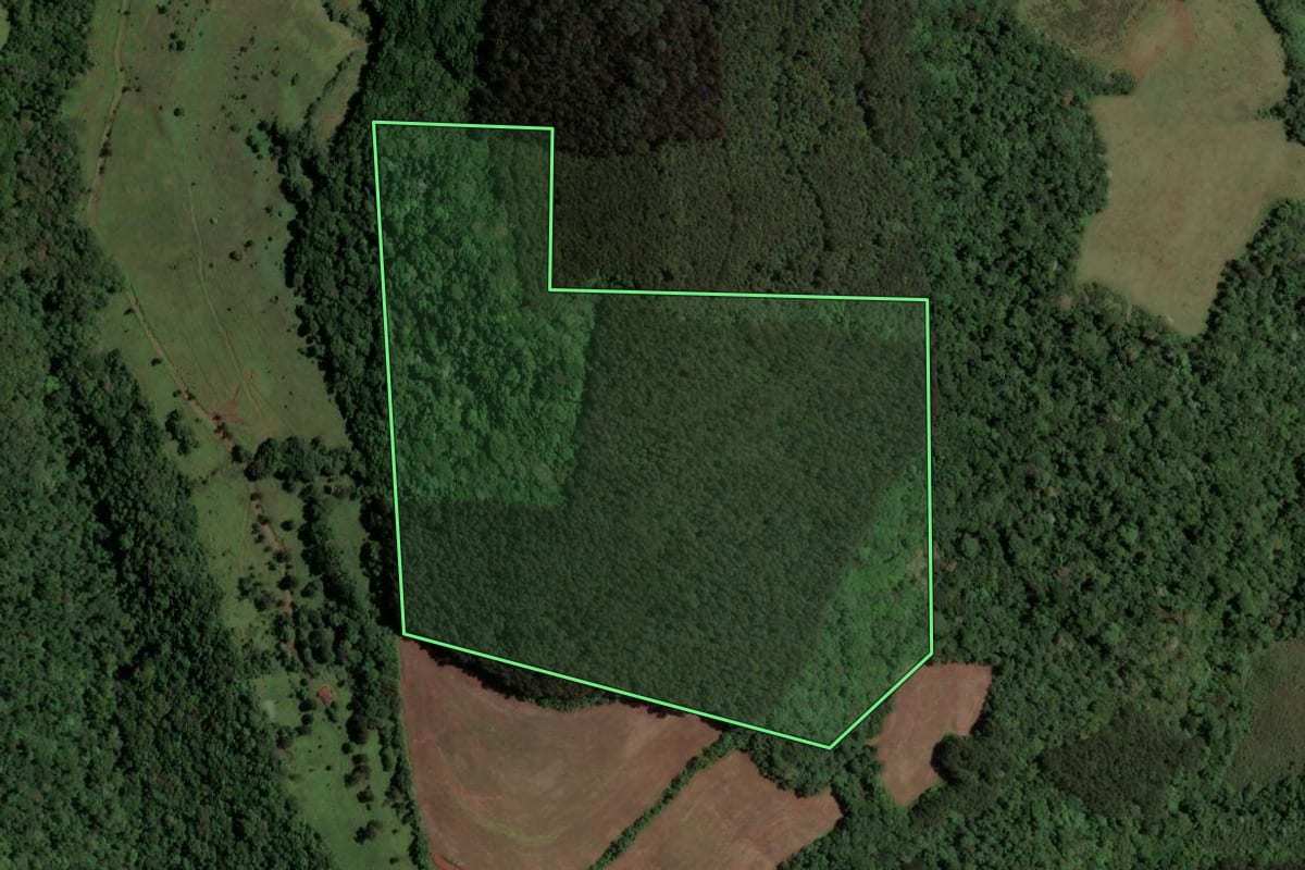 Imagem de satélite do imóvel rural em Irani (SC), com o contorno declarado no CAR desenhado por cima.