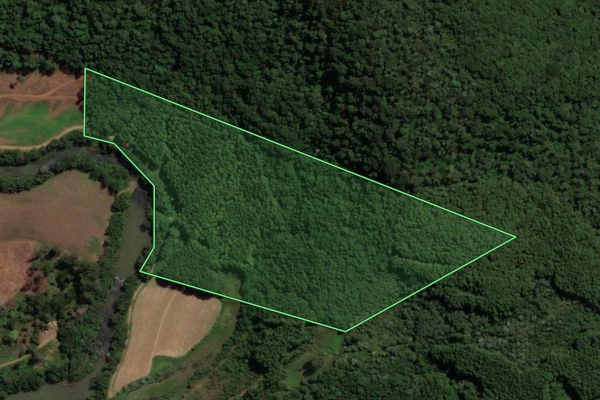 Imagem de satélite do imóvel rural em Irani (SC), com o contorno declarado no CAR desenhado por cima.
