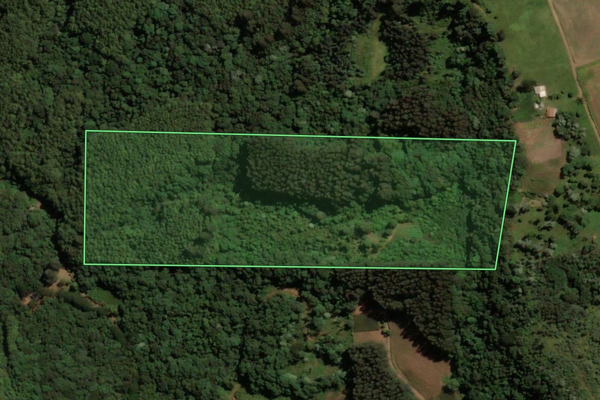 Imagem de satélite do imóvel rural em Irani (SC), com o contorno declarado no CAR desenhado por cima.