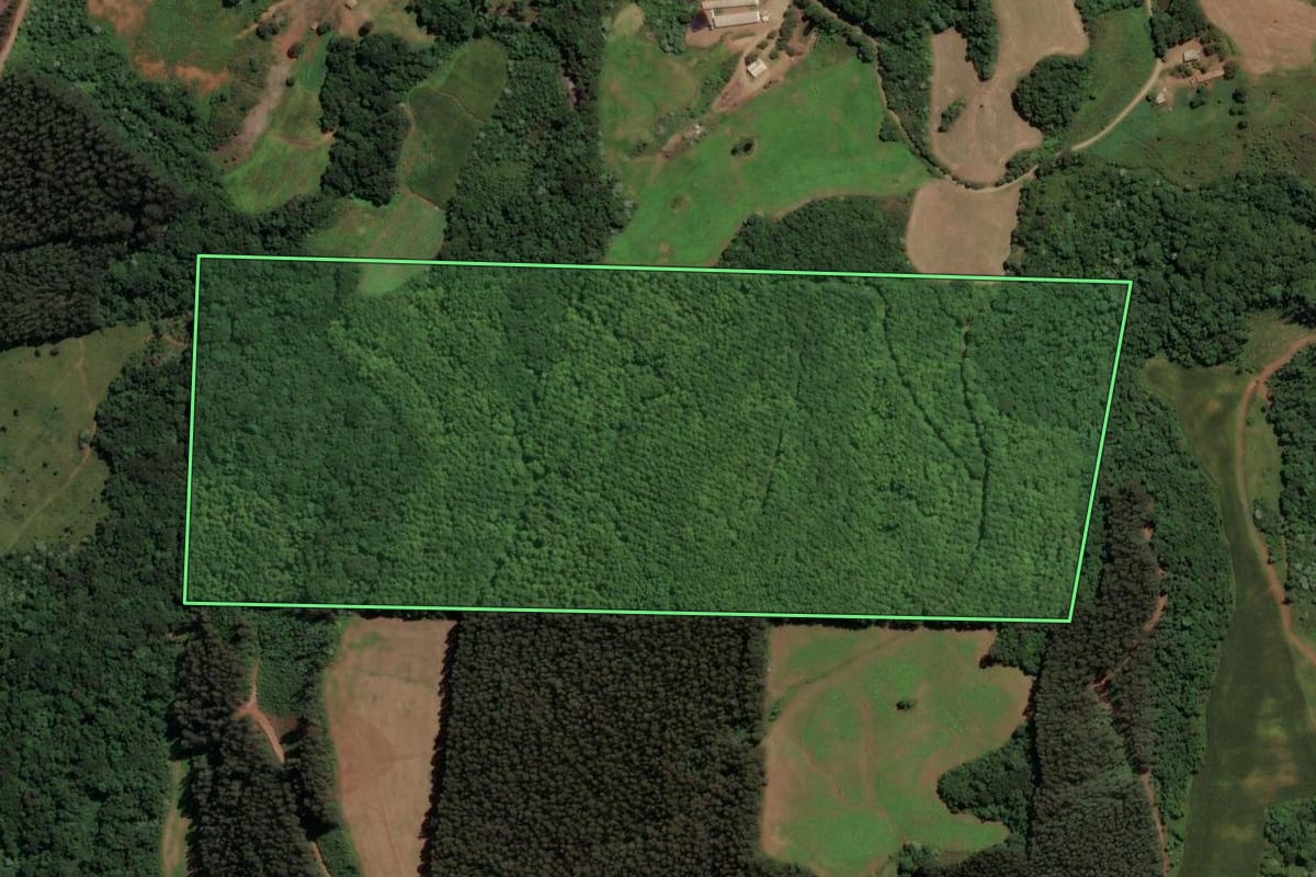 Imagem de satélite do imóvel rural em Irani (SC), com o contorno declarado no CAR desenhado por cima.