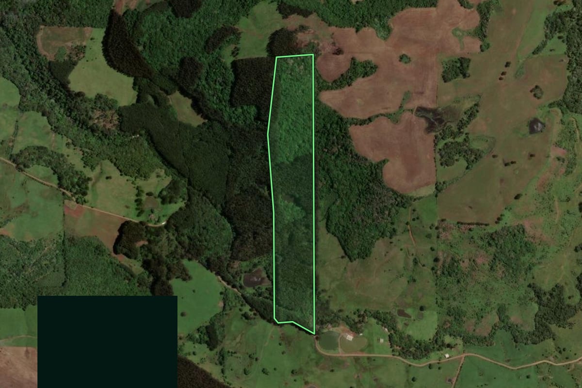 Imagem de satélite do imóvel rural em Irani (SC), com o contorno declarado no CAR desenhado por cima.