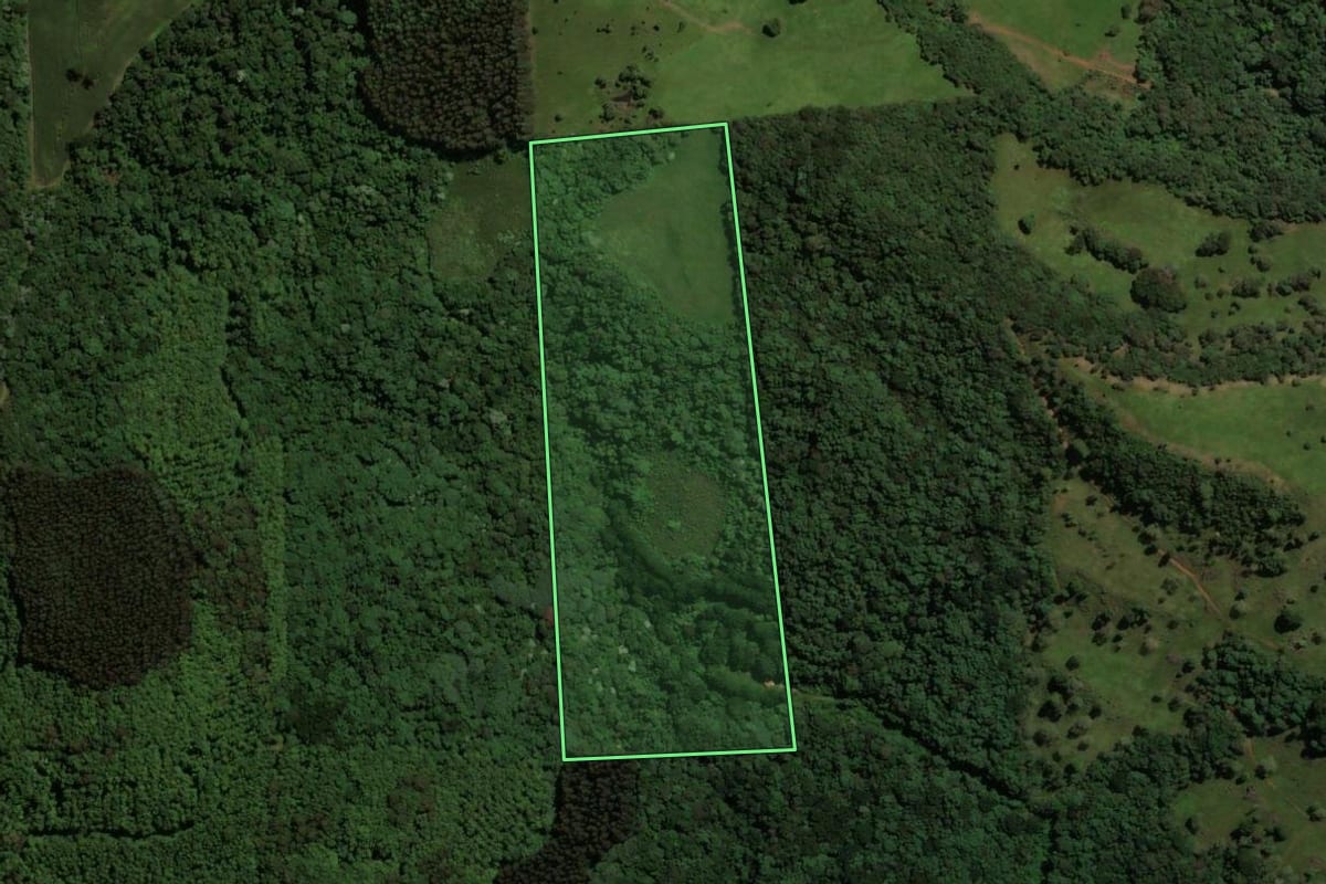 Imagem de satélite do imóvel rural em Irani (SC), com o contorno declarado no CAR desenhado por cima.