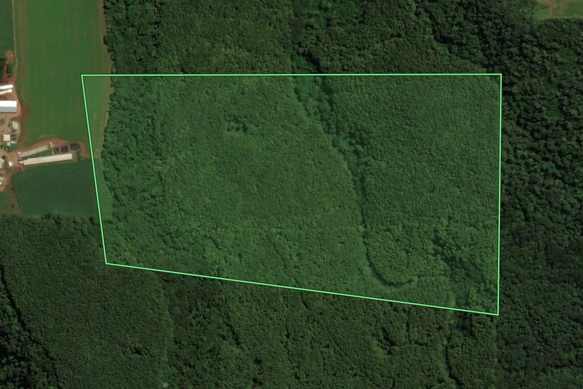 Imagem de satélite do imóvel rural em Irani (SC), com o contorno declarado no CAR desenhado por cima.