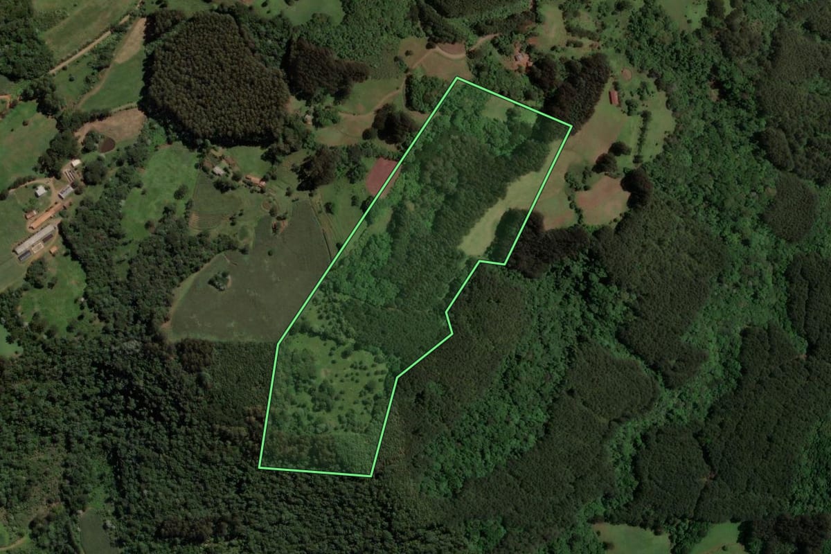 Imagem de satélite do imóvel rural em Irani (SC), com o contorno declarado no CAR desenhado por cima.