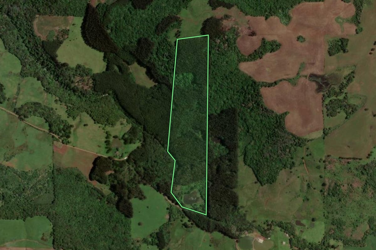 Imagem de satélite do imóvel rural em Irani (SC), com o contorno declarado no CAR desenhado por cima.