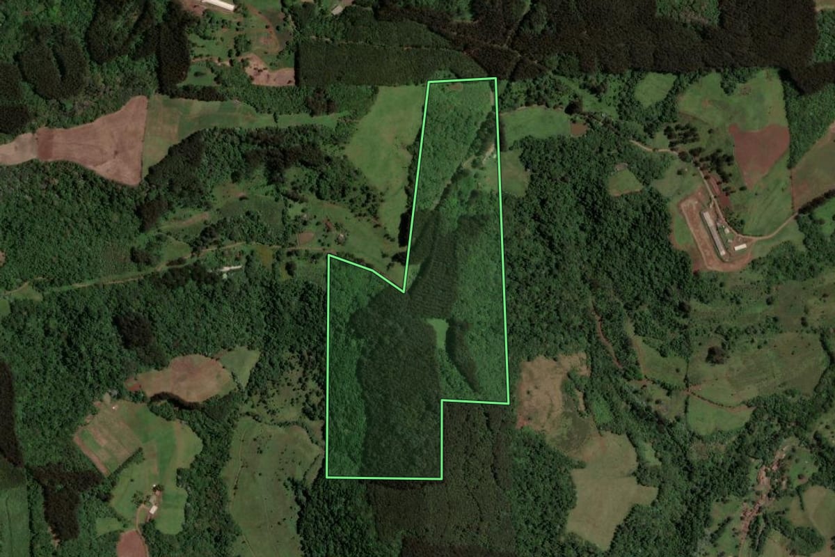 Imagem de satélite do imóvel rural em Irani (SC), com o contorno declarado no CAR desenhado por cima.