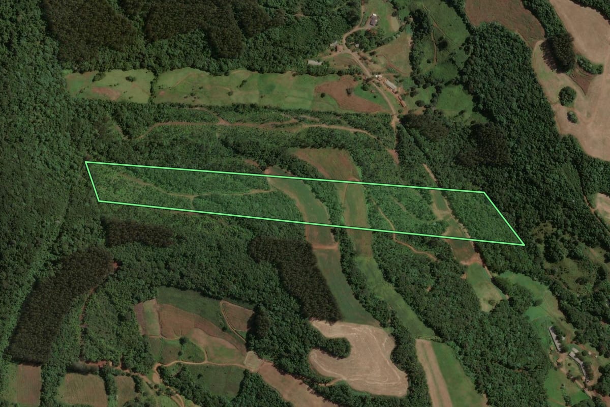 Imagem de satélite do imóvel rural em Irani (SC), com o contorno declarado no CAR desenhado por cima.