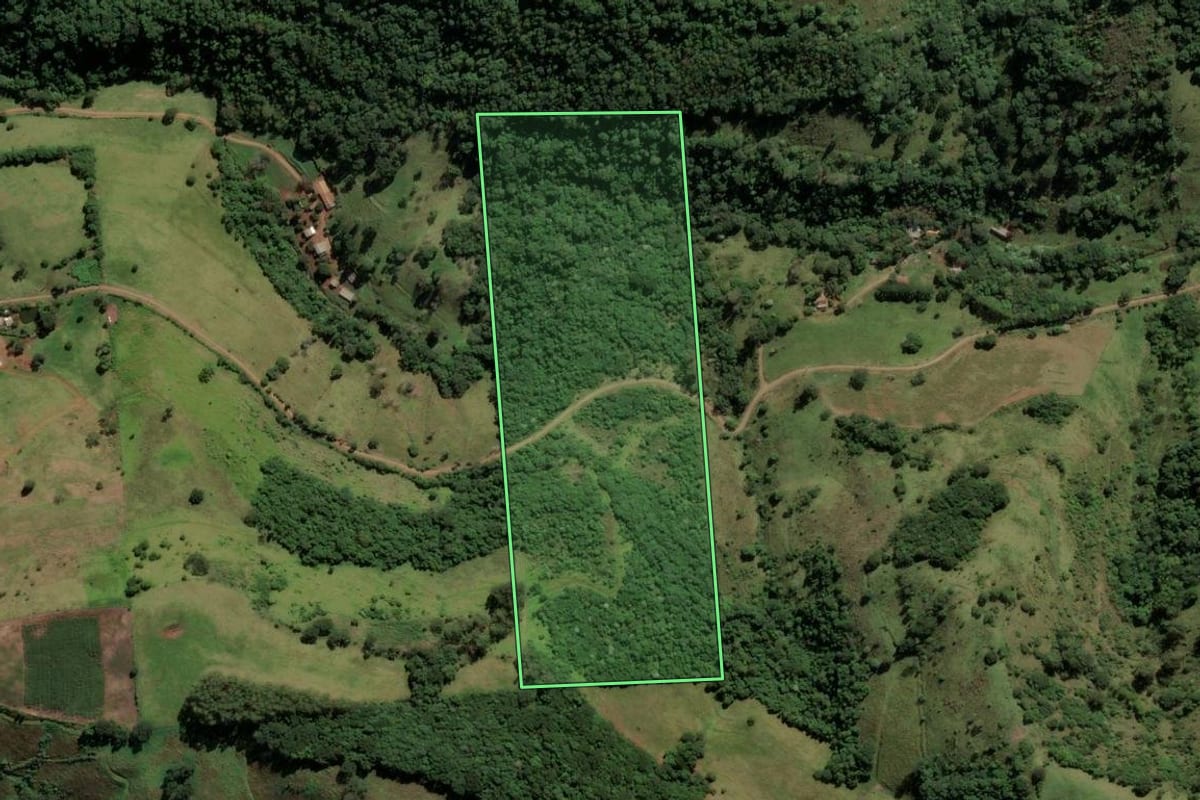 Imagem de satélite do imóvel rural em Irati (SC), com o contorno declarado no CAR desenhado por cima.
