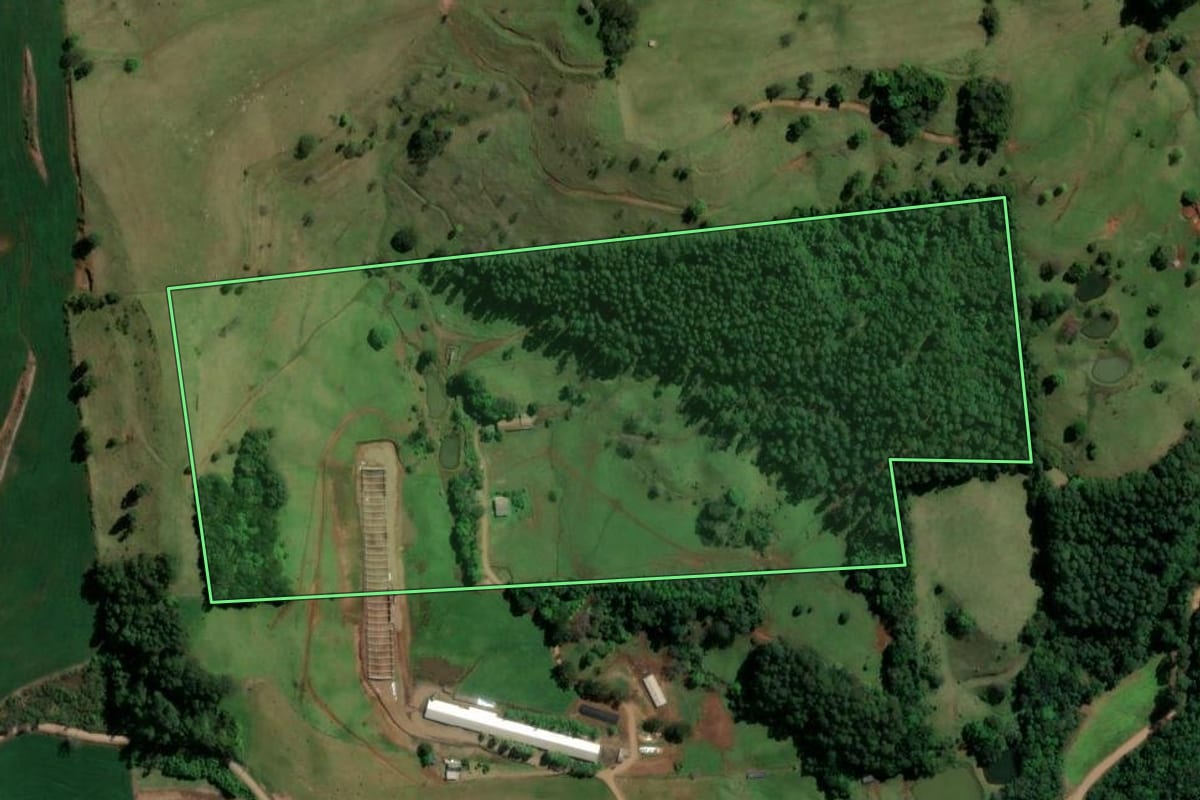 Imagem de satélite do imóvel rural em Irati (SC), com o contorno declarado no CAR desenhado por cima.