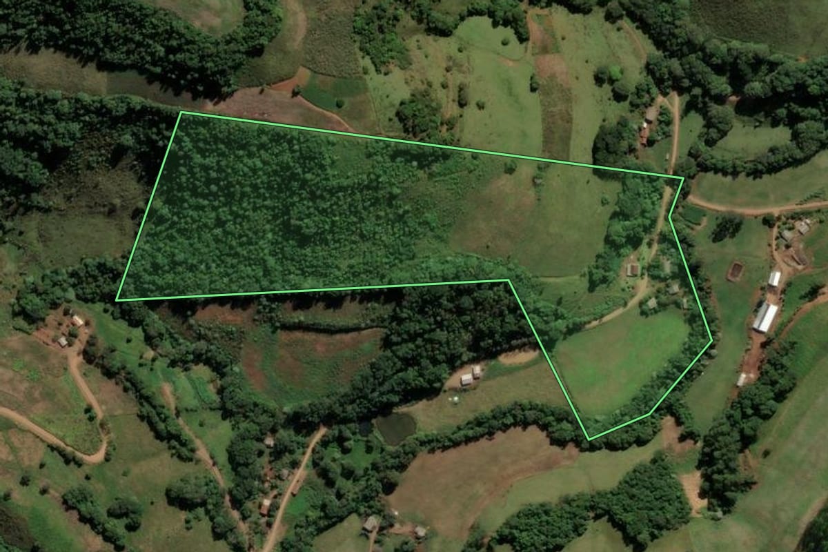 Imagem de satélite do imóvel rural em Irati (SC), com o contorno declarado no CAR desenhado por cima.