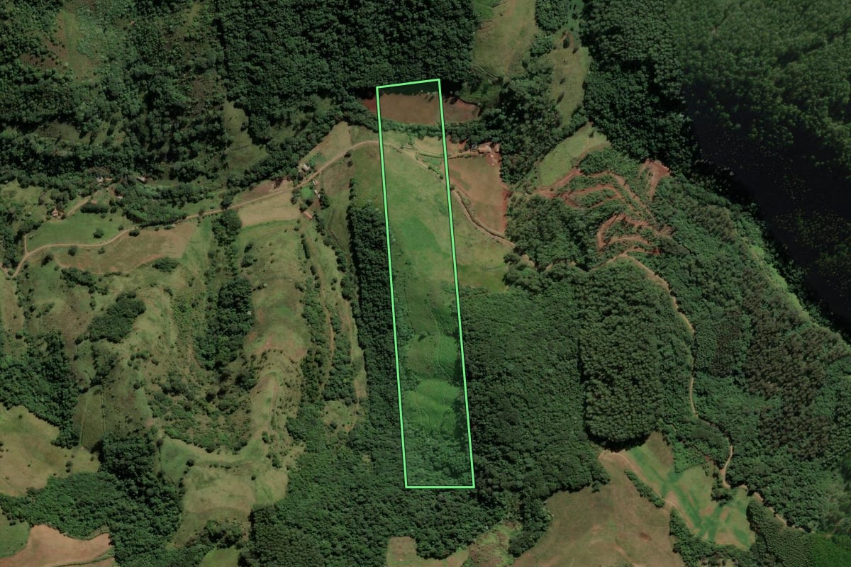 Imagem de satélite do imóvel rural em Irati (SC), com o contorno declarado no CAR desenhado por cima.