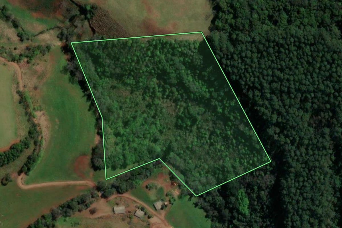 Imagem de satélite do imóvel rural em Irati (SC), com o contorno declarado no CAR desenhado por cima.