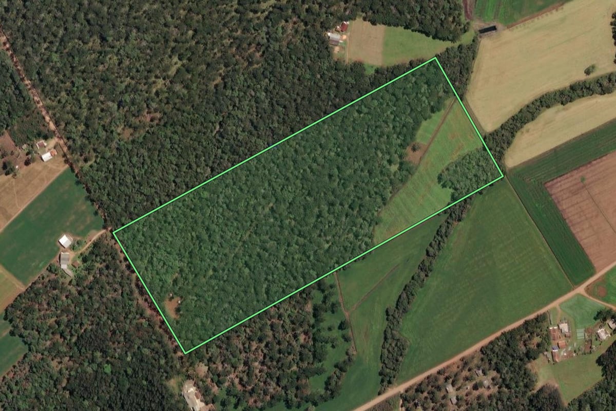 Imagem de satélite do imóvel rural em Irineópolis (SC), com o contorno declarado no CAR desenhado por cima.