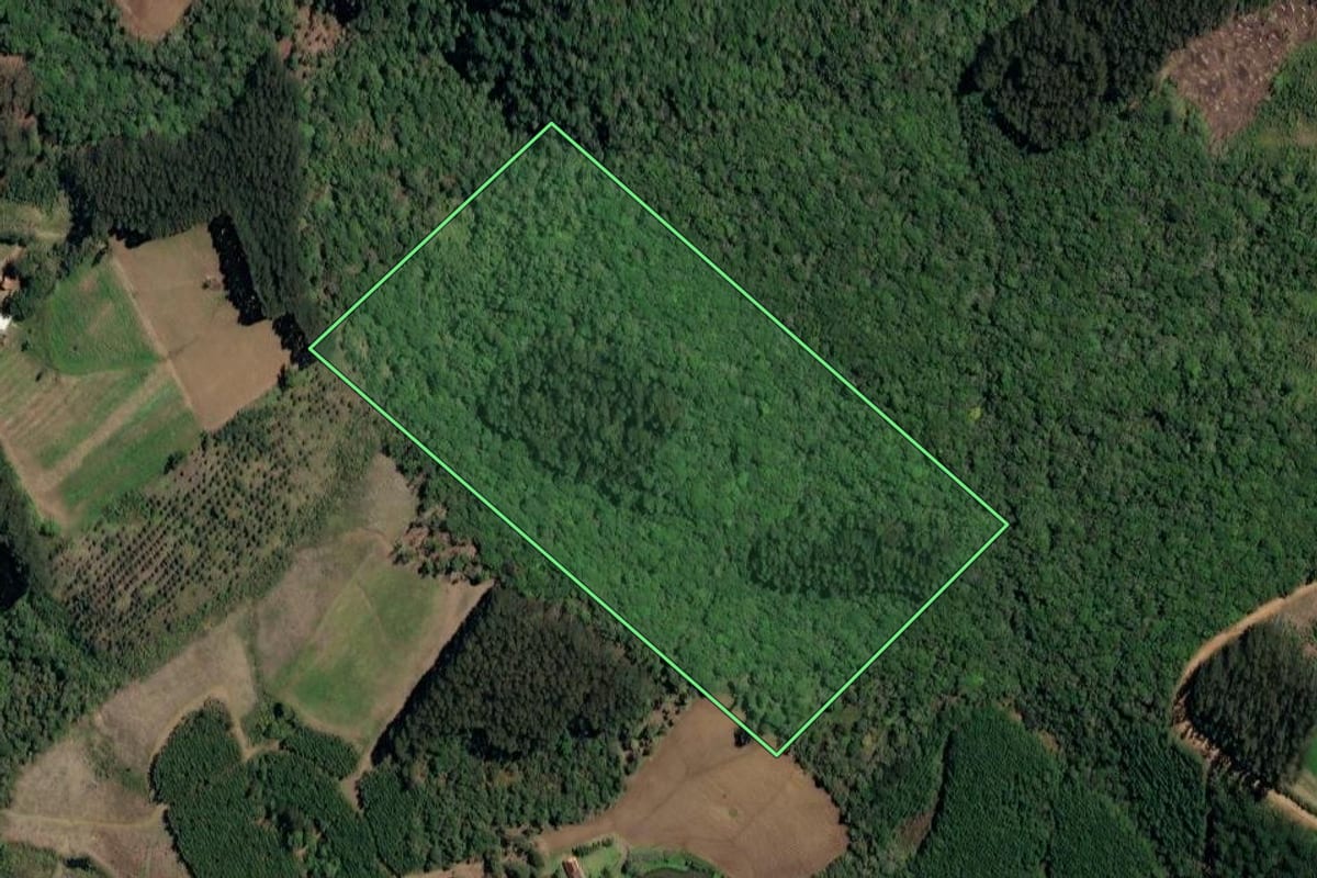 Imagem de satélite do imóvel rural em Irineópolis (SC), com o contorno declarado no CAR desenhado por cima.