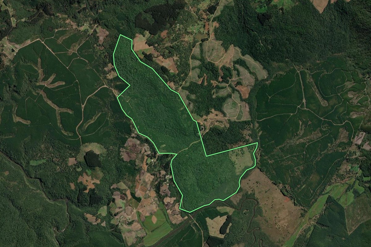 Imagem de satélite do imóvel rural em Irineópolis (SC), com o contorno declarado no CAR desenhado por cima.