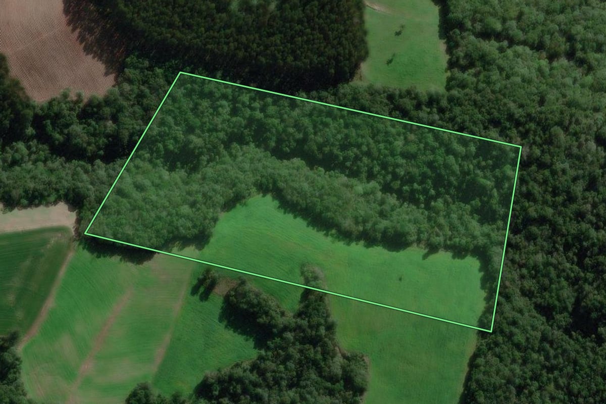 Imagem de satélite do imóvel rural em Irineópolis (SC), com o contorno declarado no CAR desenhado por cima.