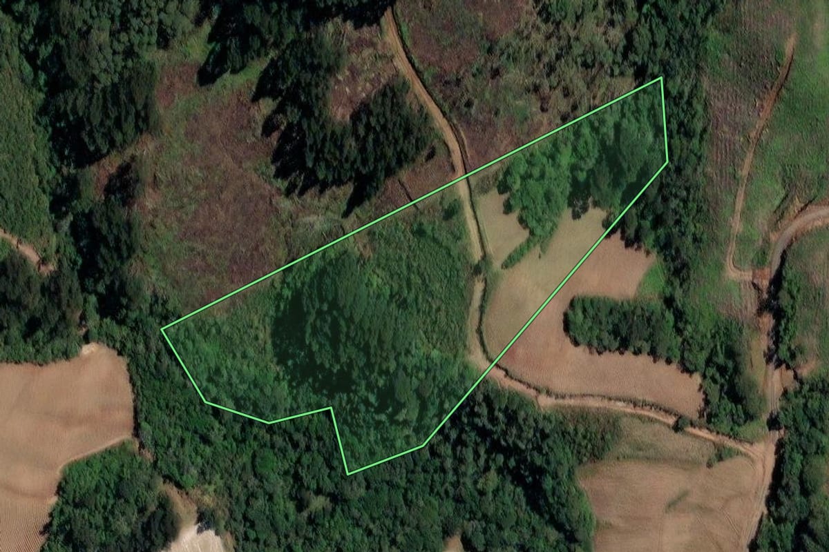 Imagem de satélite do imóvel rural em Irineópolis (SC), com o contorno declarado no CAR desenhado por cima.