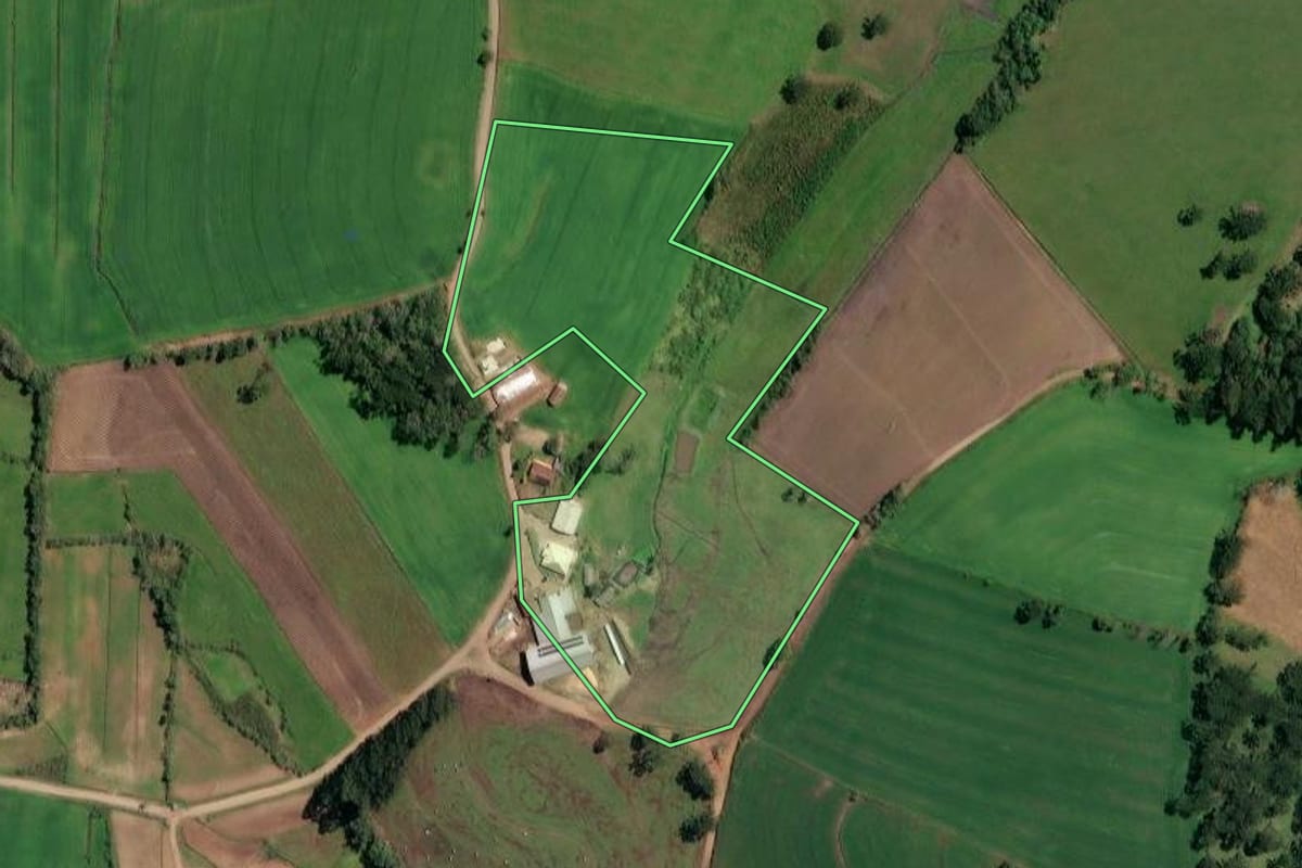Imagem de satélite do imóvel rural em Irineópolis (SC), com o contorno declarado no CAR desenhado por cima.