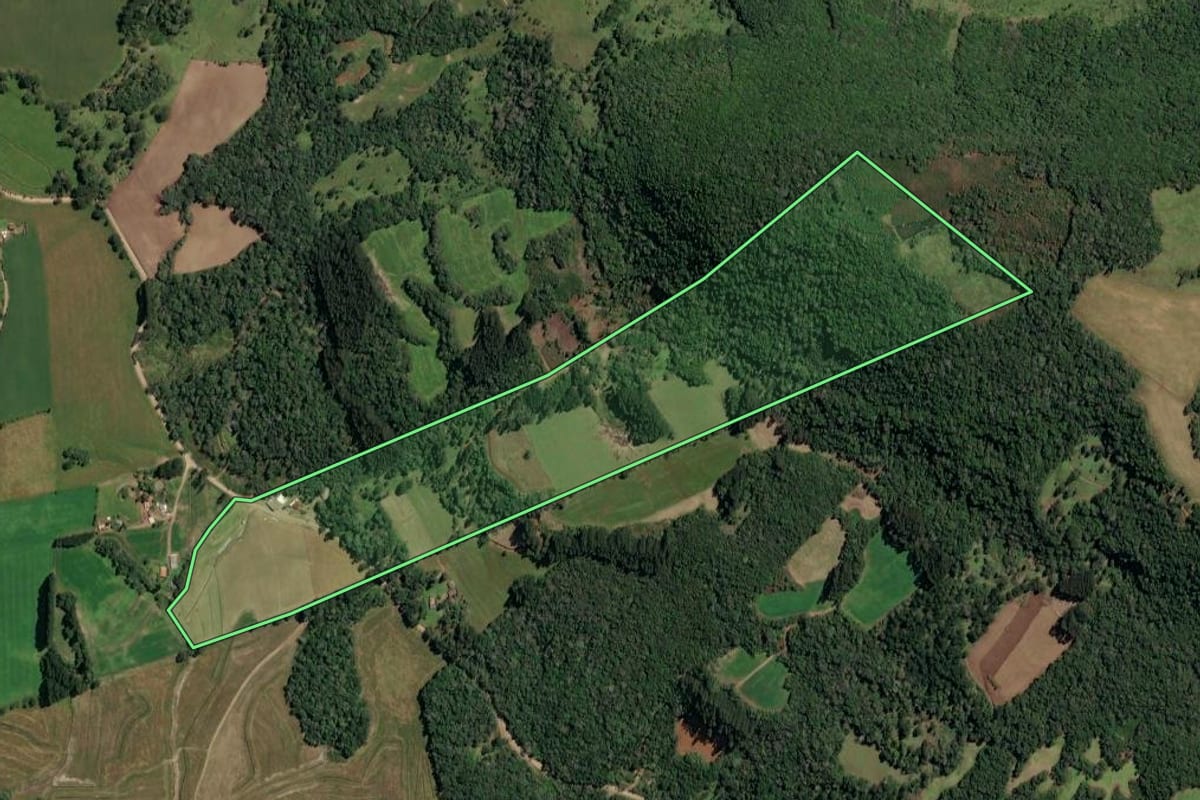 Imagem de satélite do imóvel rural em Irineópolis (SC), com o contorno declarado no CAR desenhado por cima.