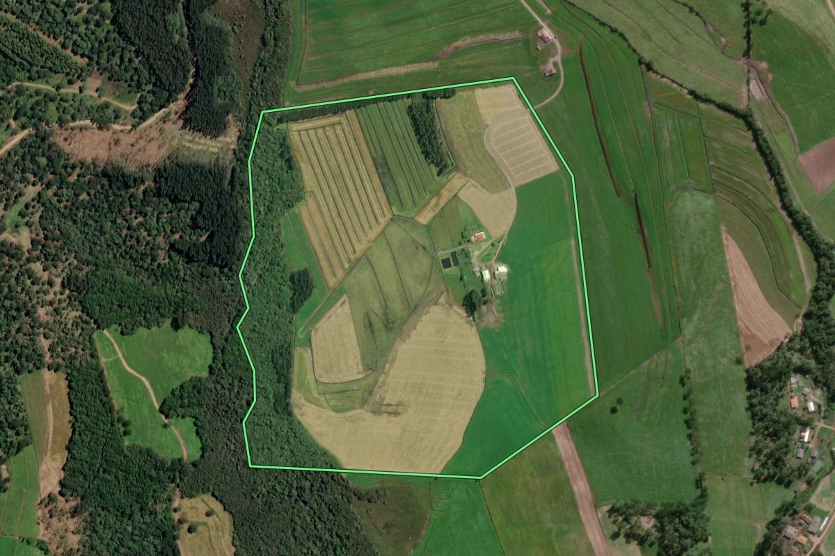 Imagem de satélite do imóvel rural em Irineópolis (SC), com o contorno declarado no CAR desenhado por cima.