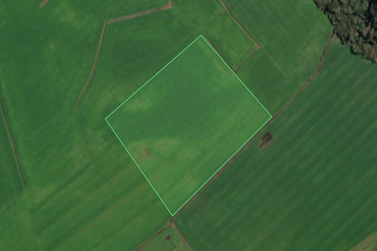Imagem de satélite do imóvel rural em Irineópolis (SC), com o contorno declarado no CAR desenhado por cima.