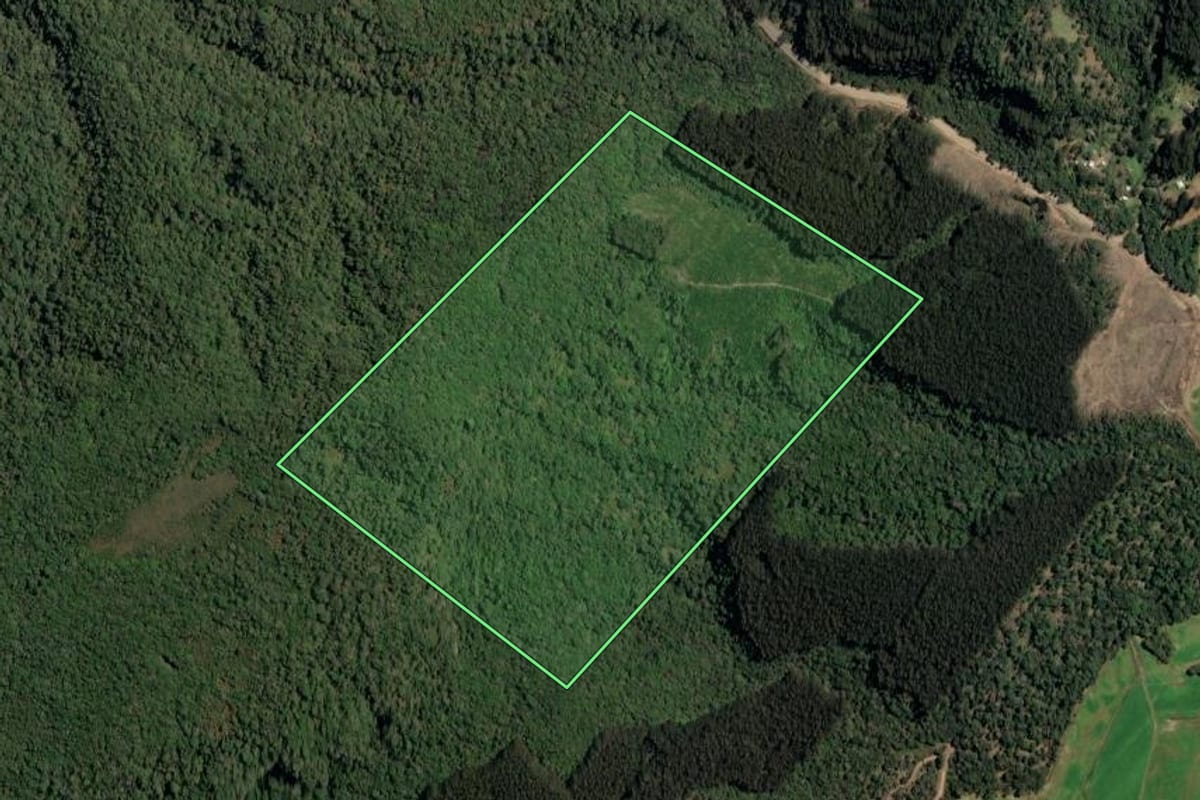 Imagem de satélite do imóvel rural em Irineópolis (SC), com o contorno declarado no CAR desenhado por cima.