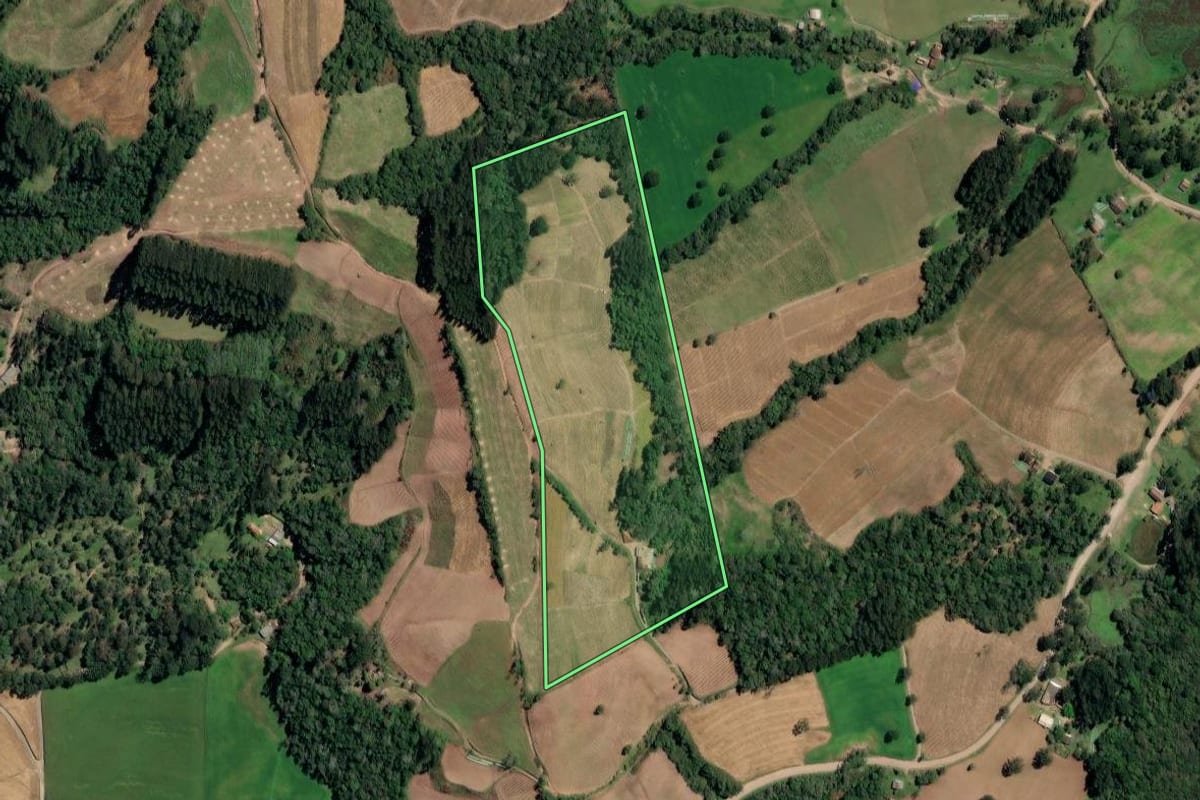 Imagem de satélite do imóvel rural em Irineópolis (SC), com o contorno declarado no CAR desenhado por cima.