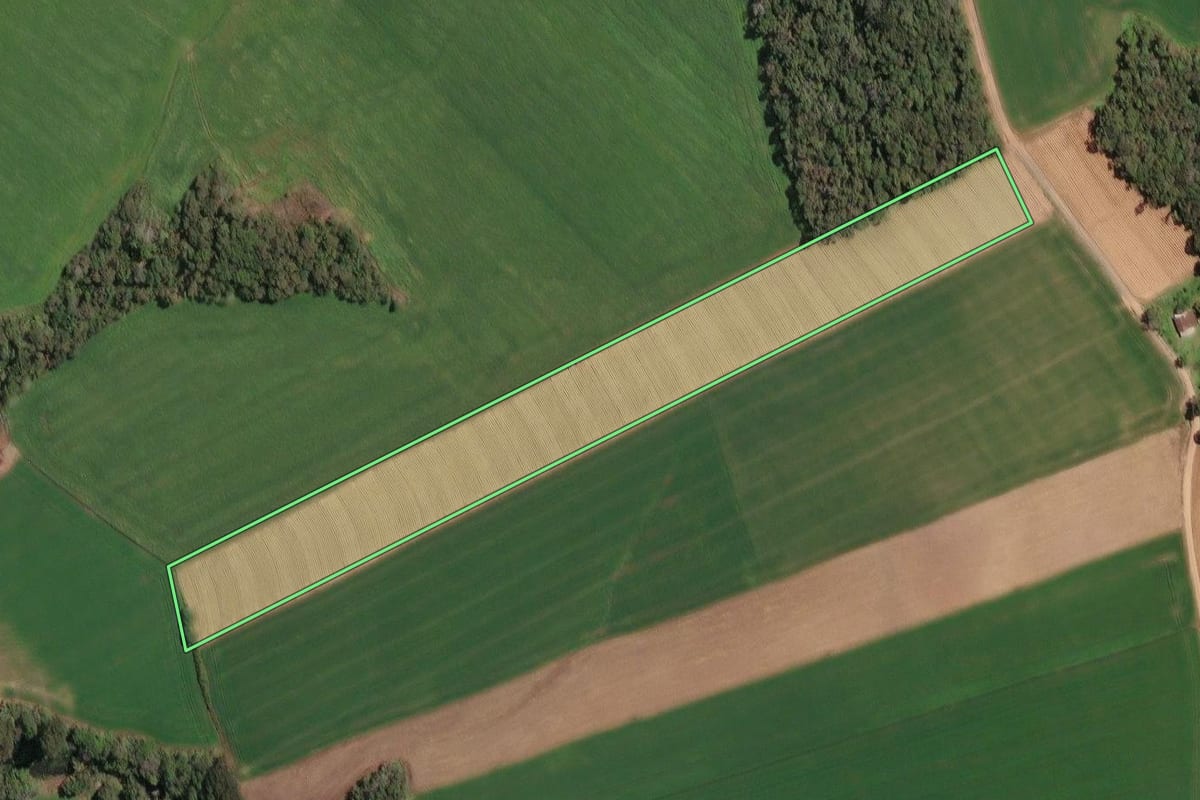 Imagem de satélite do imóvel rural em Irineópolis (SC), com o contorno declarado no CAR desenhado por cima.