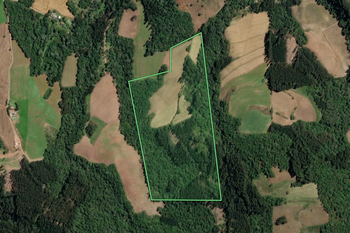 Imagem de satélite do imóvel rural em Irineópolis (SC), com o contorno declarado no CAR desenhado por cima.