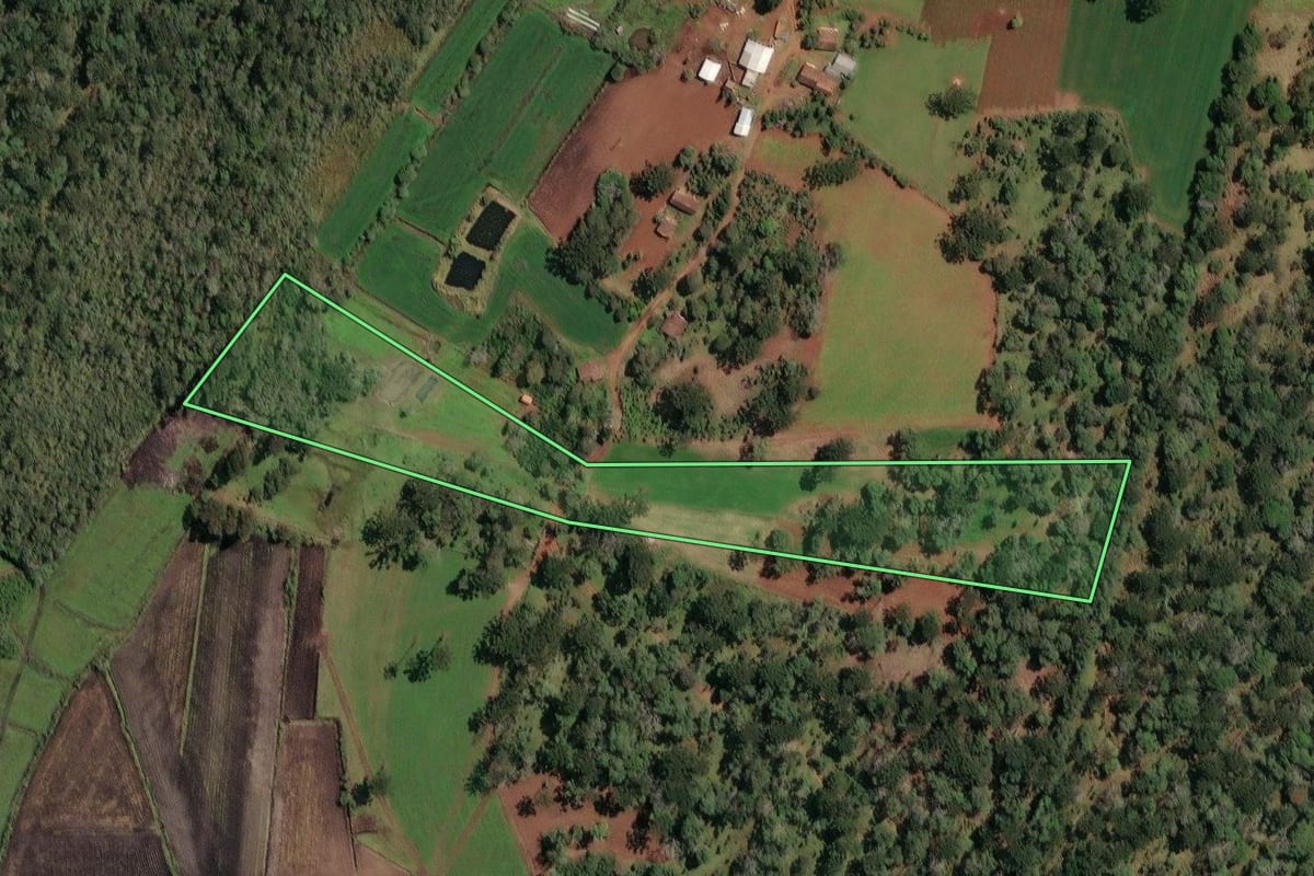 Imagem de satélite do imóvel rural em Irineópolis (SC), com o contorno declarado no CAR desenhado por cima.