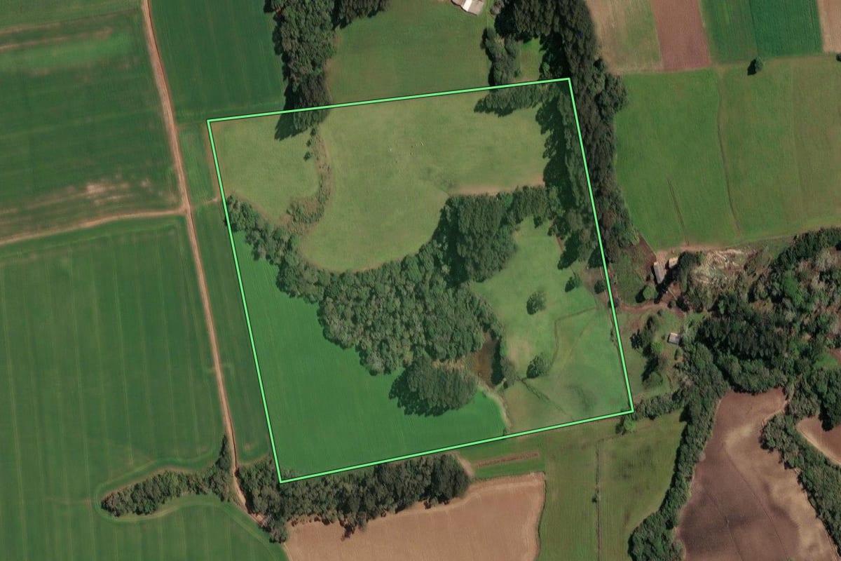 Imagem de satélite do imóvel rural em Irineópolis (SC), com o contorno declarado no CAR desenhado por cima.