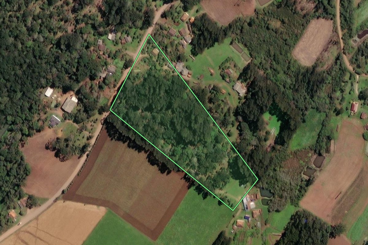 Imagem de satélite do imóvel rural em Irineópolis (SC), com o contorno declarado no CAR desenhado por cima.