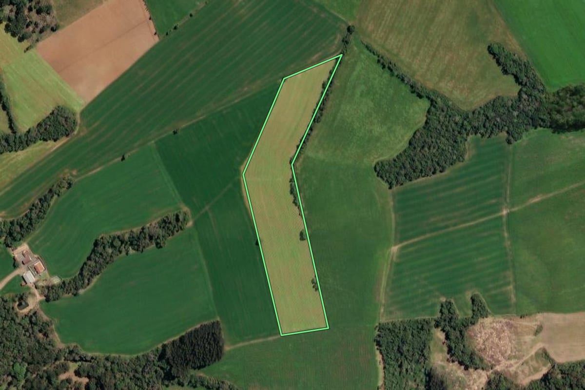 Imagem de satélite do imóvel rural em Irineópolis (SC), com o contorno declarado no CAR desenhado por cima.