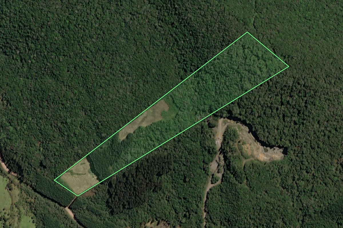 Imagem de satélite do imóvel rural em Irineópolis (SC), com o contorno declarado no CAR desenhado por cima.