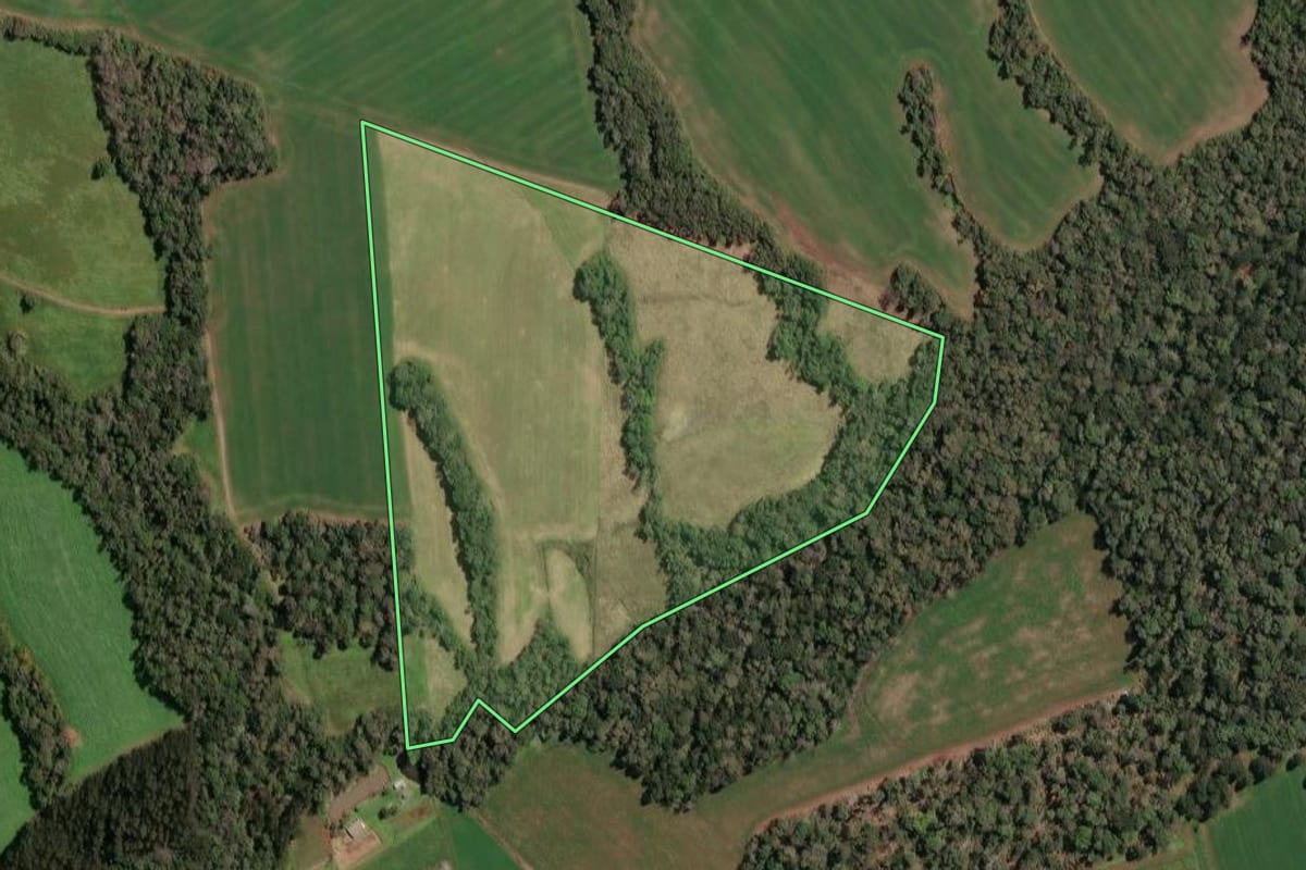 Imagem de satélite do imóvel rural em Irineópolis (SC), com o contorno declarado no CAR desenhado por cima.