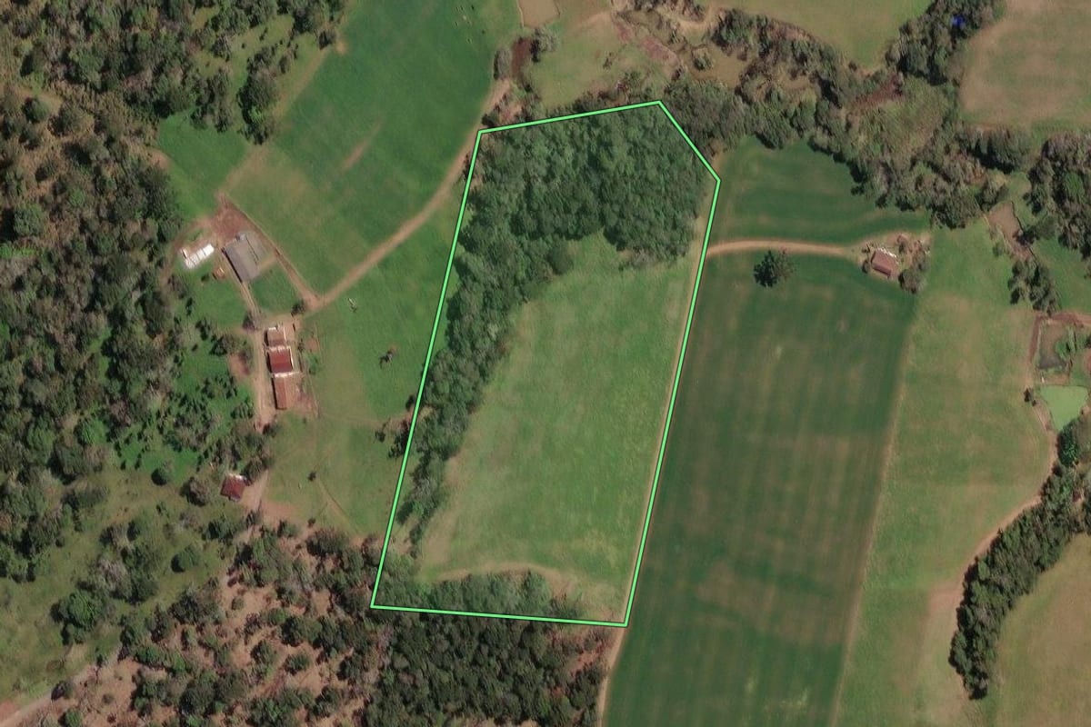 Imagem de satélite do imóvel rural em Irineópolis (SC), com o contorno declarado no CAR desenhado por cima.