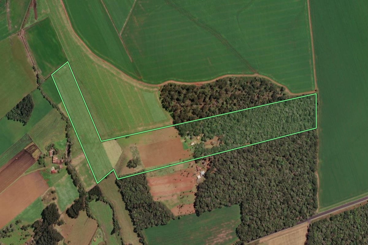 Imagem de satélite do imóvel rural em Irineópolis (SC), com o contorno declarado no CAR desenhado por cima.