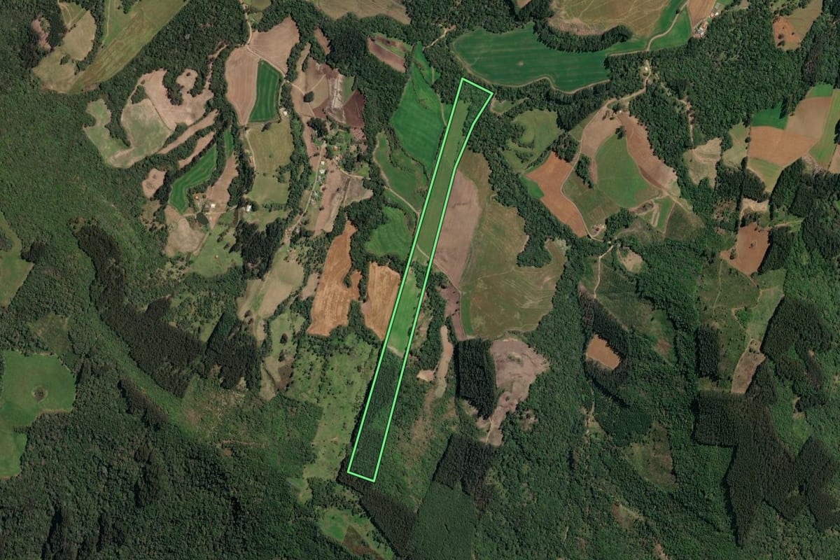 Imagem de satélite do imóvel rural em Irineópolis (SC), com o contorno declarado no CAR desenhado por cima.