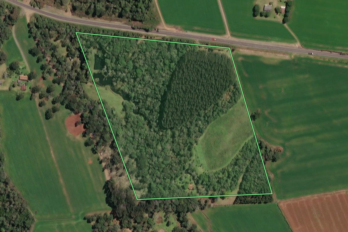 Imagem de satélite do imóvel rural em Irineópolis (SC), com o contorno declarado no CAR desenhado por cima.
