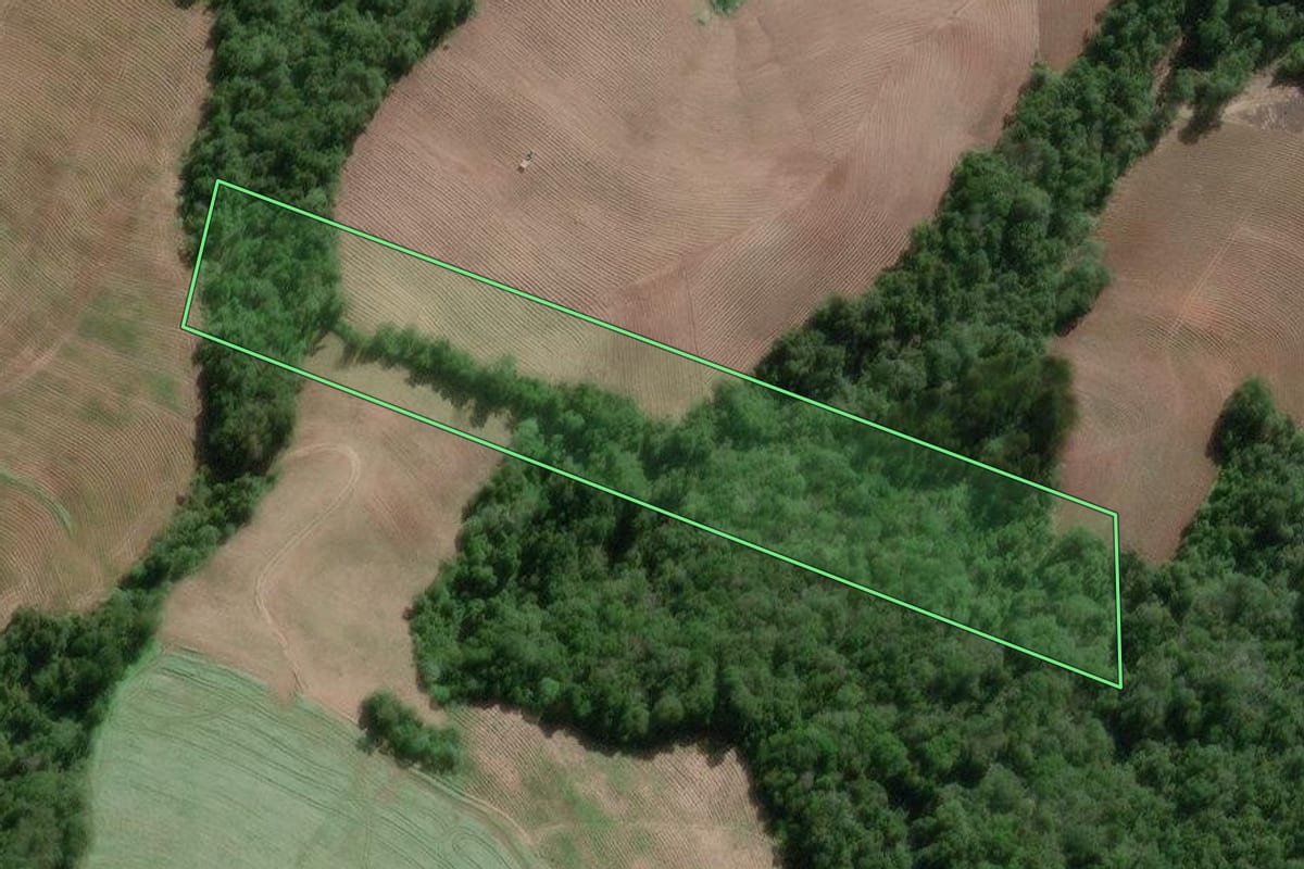 Imagem de satélite do imóvel rural em Irineópolis (SC), com o contorno declarado no CAR desenhado por cima.