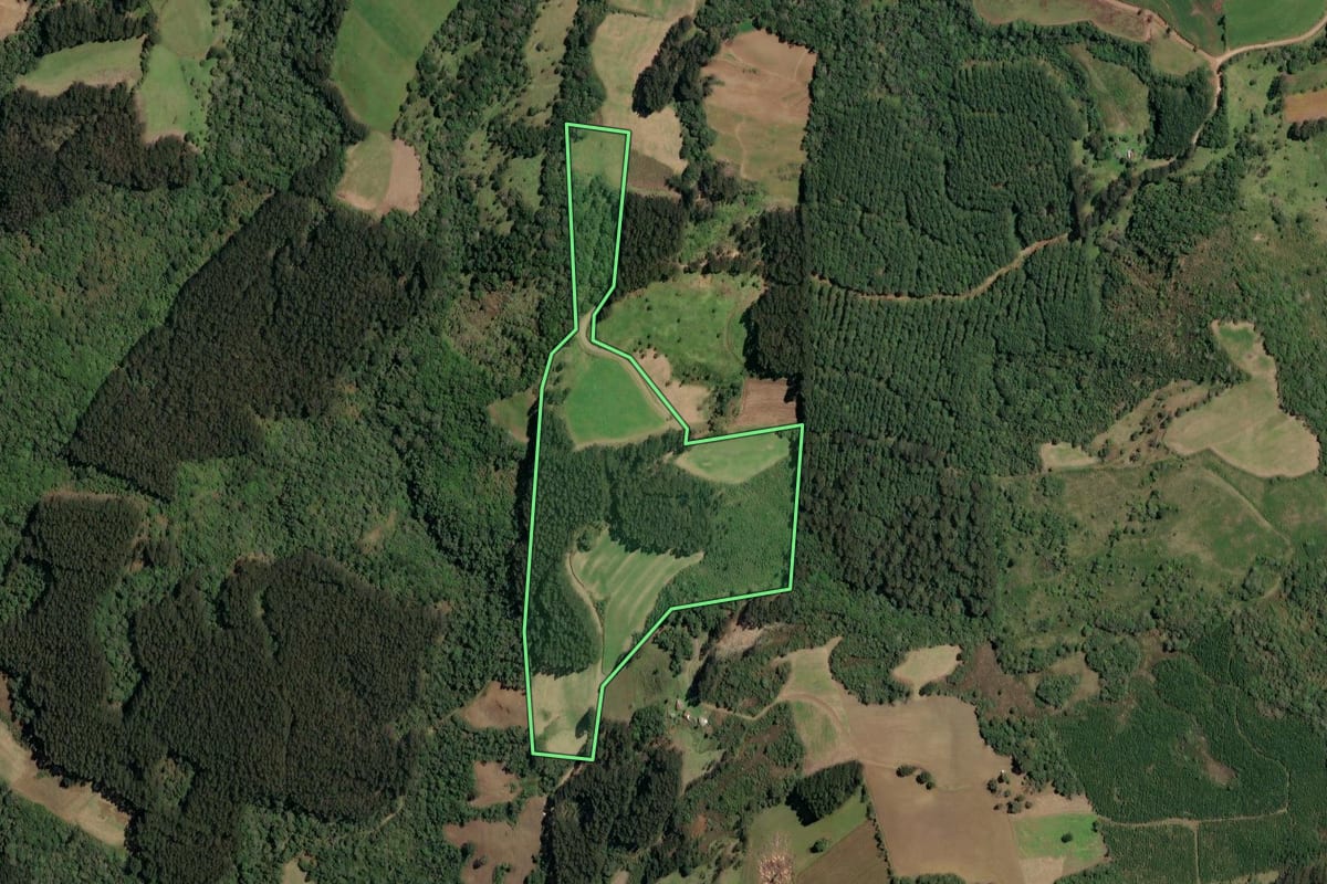Imagem de satélite do imóvel rural em Irineópolis (SC), com o contorno declarado no CAR desenhado por cima.