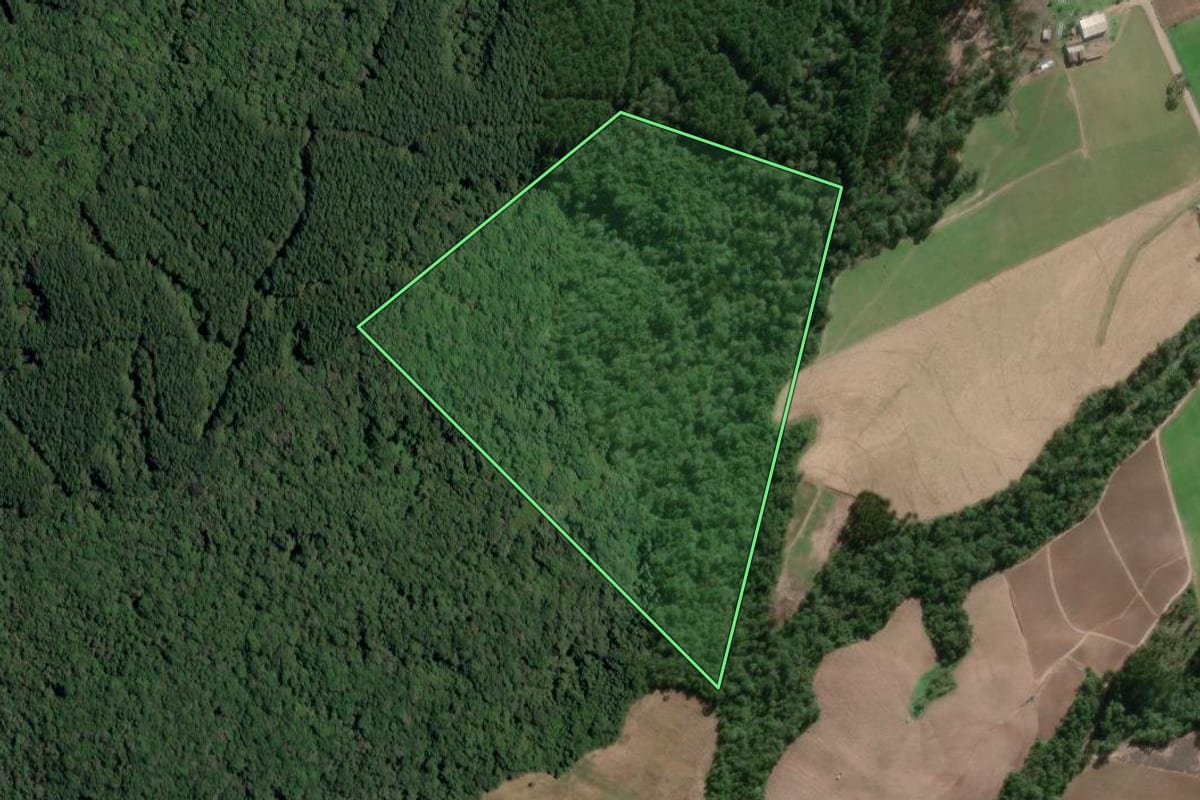 Imagem de satélite do imóvel rural em Irineópolis (SC), com o contorno declarado no CAR desenhado por cima.