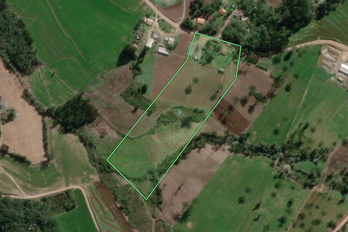 Imagem de satélite do imóvel rural em Irineópolis (SC), com o contorno declarado no CAR desenhado por cima.
