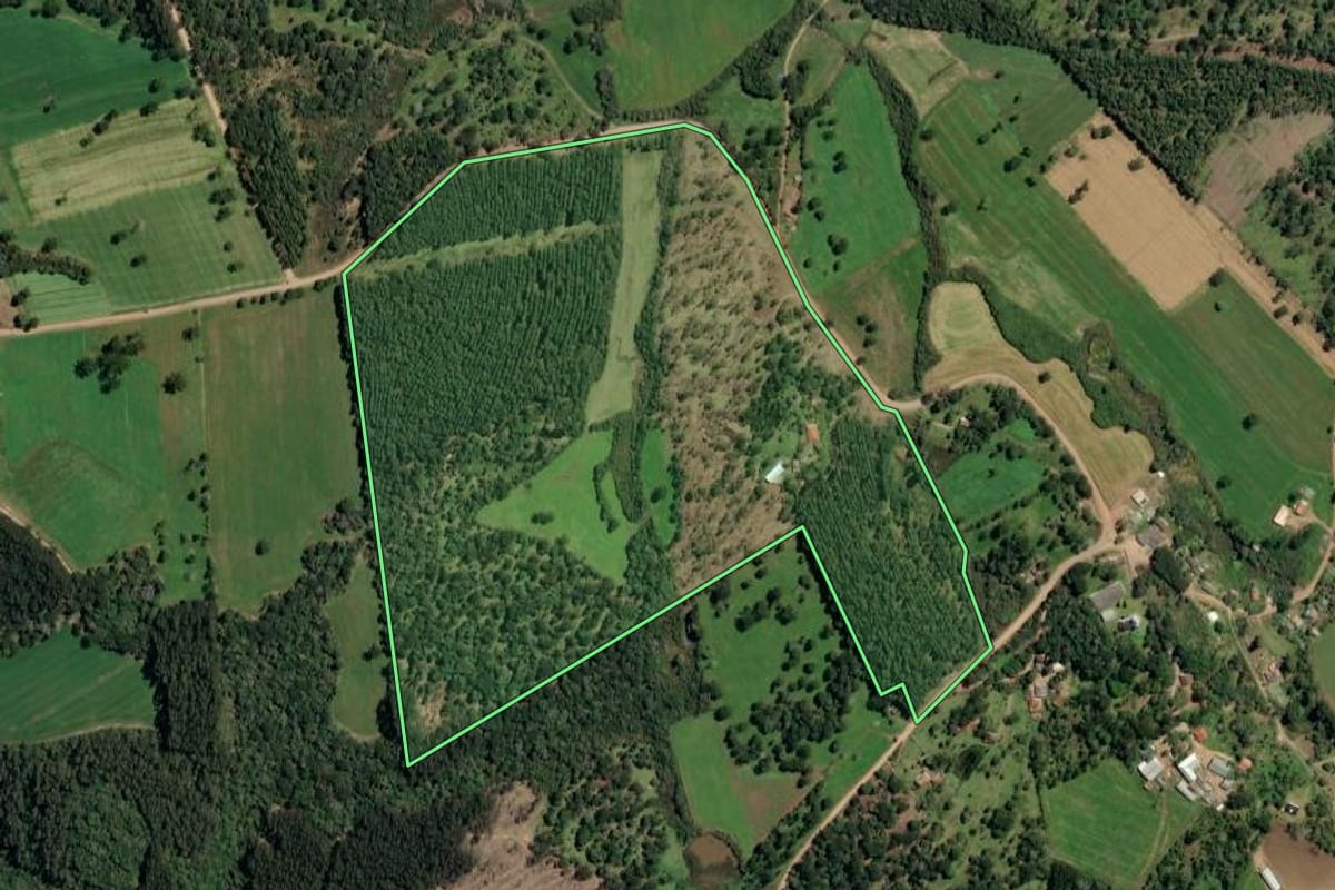 Imagem de satélite do imóvel rural em Irineópolis (SC), com o contorno declarado no CAR desenhado por cima.