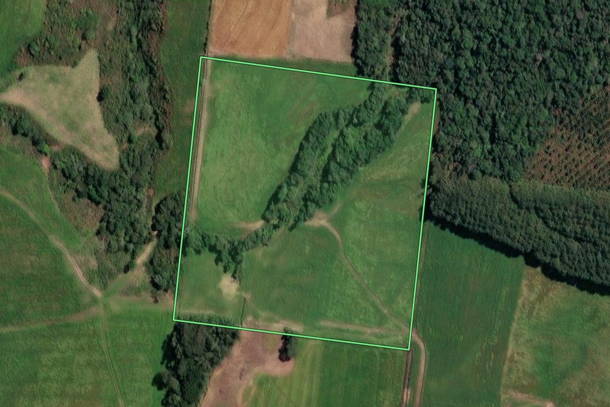 Imagem de satélite do imóvel rural em Irineópolis (SC), com o contorno declarado no CAR desenhado por cima.