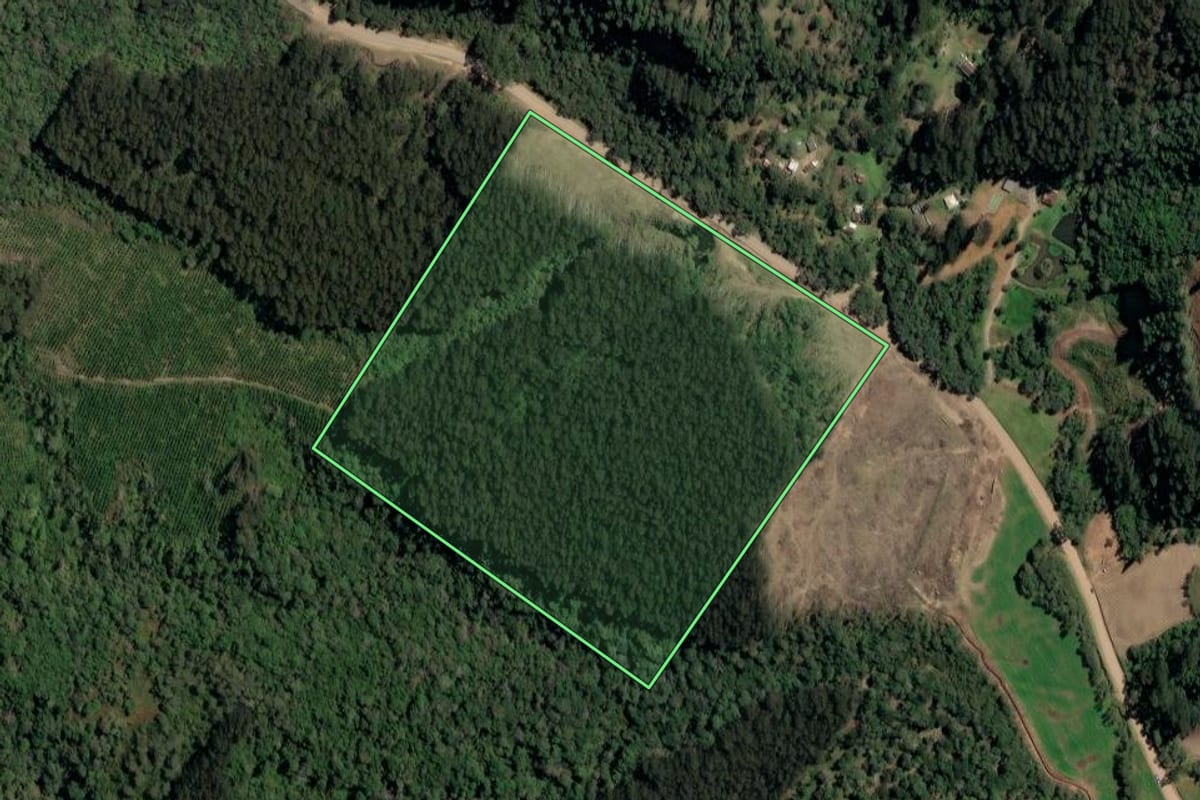 Imagem de satélite do imóvel rural em Irineópolis (SC), com o contorno declarado no CAR desenhado por cima.