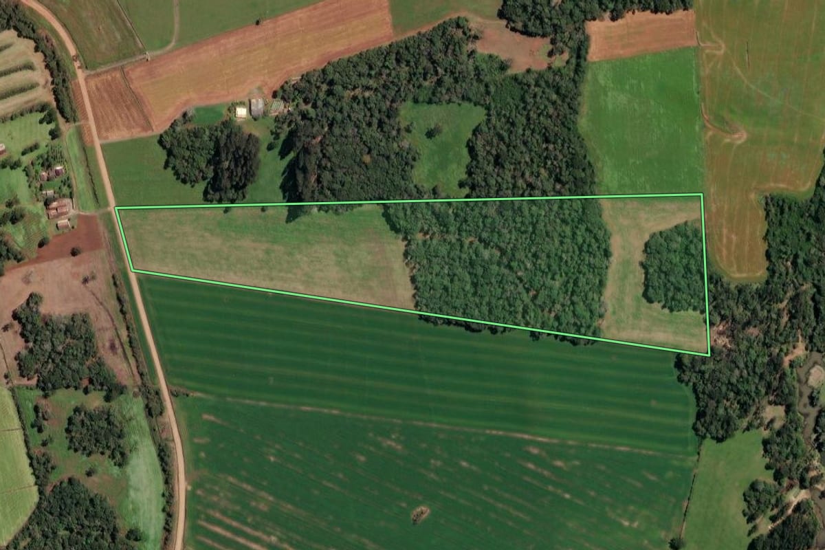 Imagem de satélite do imóvel rural em Irineópolis (SC), com o contorno declarado no CAR desenhado por cima.